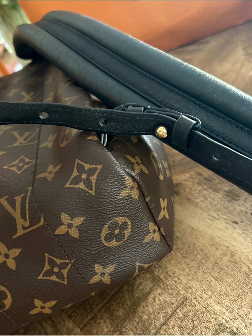 Louis Vuitton Monogram Canvas Palm Springs Backpack PM - Picture 10 of 16